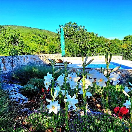 Relaxing Dalmatian House In Village Ljubitovica Kültér fotó